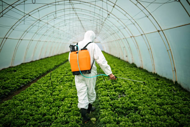 Best Pest Inspection Near Me  in Stratford, CA