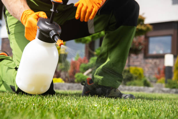 Best Pest Removal Services  in Stratford, CA