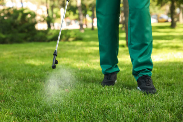 Best Emergency Pest Control  in Stratford, CA