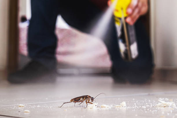 Best Pest Control for Restaurants  in Stratford, CA